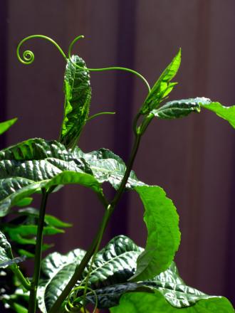 gallery_10947_664_82080.jpg