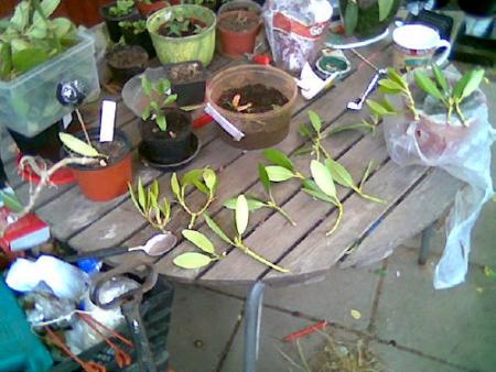 gallery_2460_1862_18562.jpg