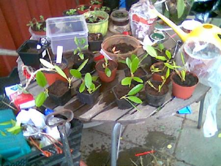 gallery_2460_1862_34062.jpg