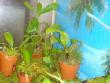 tn_gallery_12008_984_872.jpg