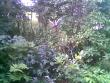 tn_gallery_2460_1862_64843.jpg