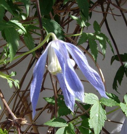 gallery_17687_2643_298127.jpg