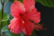 tn_gallery_1090_695_25529.jpg