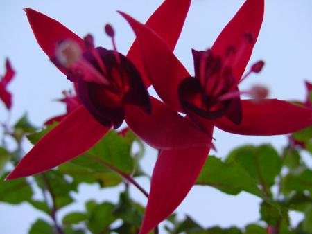 gallery_17687_2643_10677.jpg