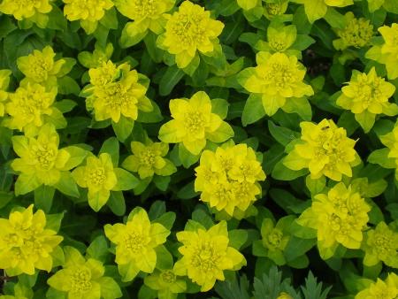 gallery_8211_2647_34675.jpg