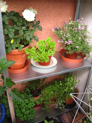 gallery_16076_2649_11254.jpg