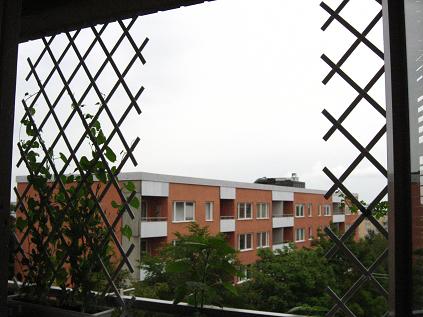 gallery_16076_2649_9984.jpg