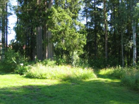 gallery_10247_2523_25325.jpg