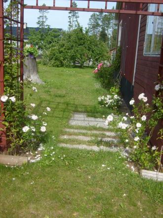 gallery_10191_1910_362628.jpg