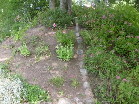 gallery_10191_1987_264598.jpg