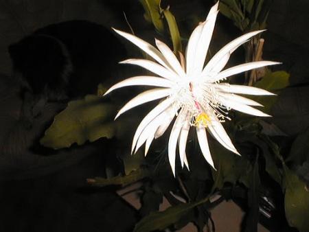 gallery_2682_2655_11890.jpg