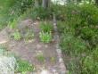 tn_gallery_10191_1987_264598.jpg