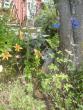 tn_gallery_10191_1987_338580.jpg