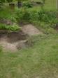 tn_gallery_10191_1987_434775.jpg