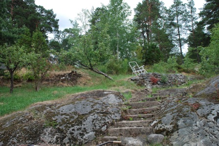 gallery_10095_2656_28451.jpg