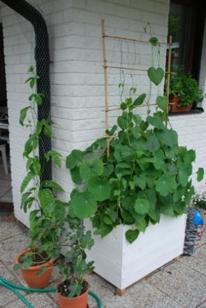gallery_10095_2659_56230.jpg