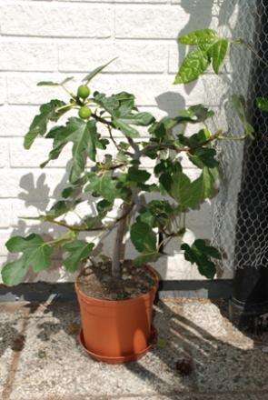 gallery_10095_2659_62010.jpg