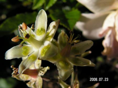 gallery_1786_950_47840.jpg