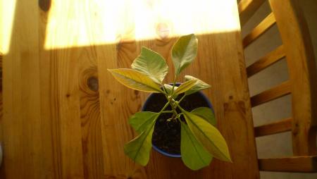 gallery_15427_2671_55364.jpg