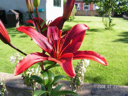gallery_1786_950_150472.jpg