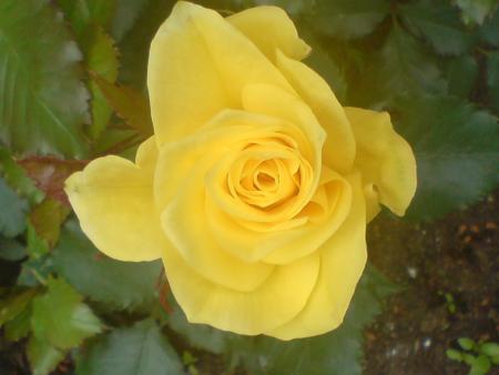 gallery_14183_2674_48660.jpg