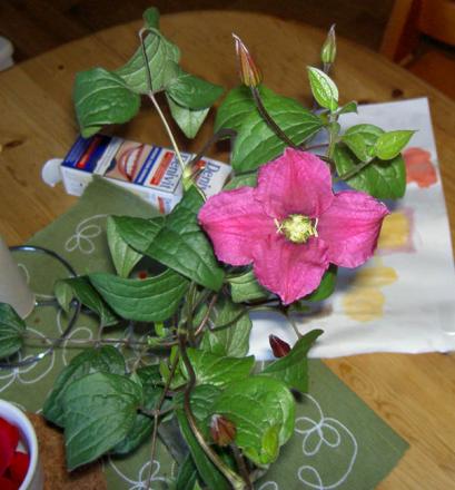 gallery_8514_2672_91343.jpg