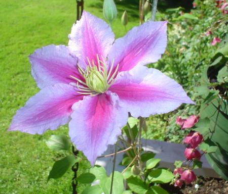 gallery_9983_440_113645.jpg