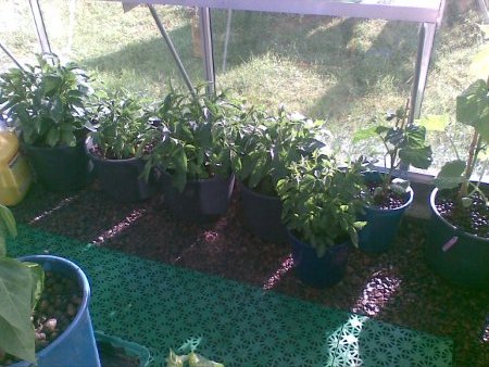 gallery_17826_2680_37490.jpg