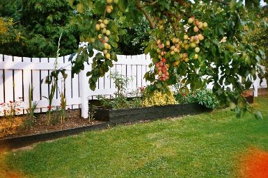 gallery_17826_2681_16504.jpg