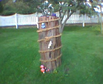 gallery_17826_2681_697.jpg