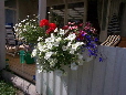 gallery_8211_2648_4260.jpg