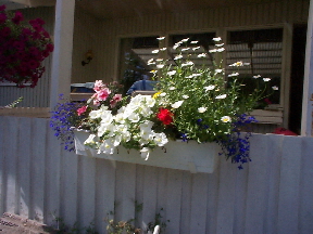 gallery_8211_2648_72515.jpg