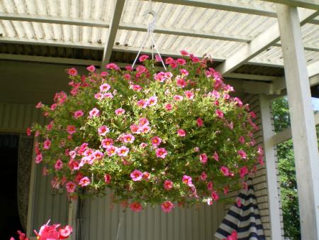 gallery_8211_2648_153987.jpg