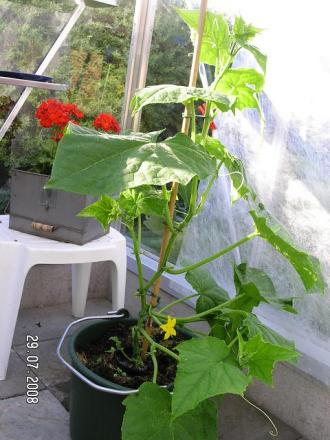 gallery_5587_1843_25802.jpg