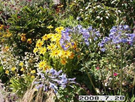 gallery_5956_2442_153600.jpg