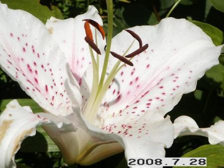 gallery_5956_2442_23870.jpg