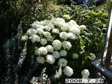 gallery_5956_2442_5008.jpg