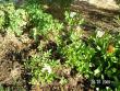 tn_gallery_5587_1843_148632.jpg