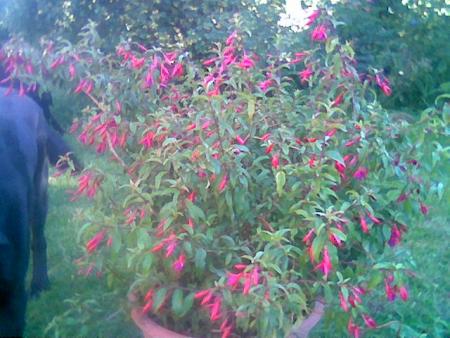 gallery_2460_1501_12052.jpg