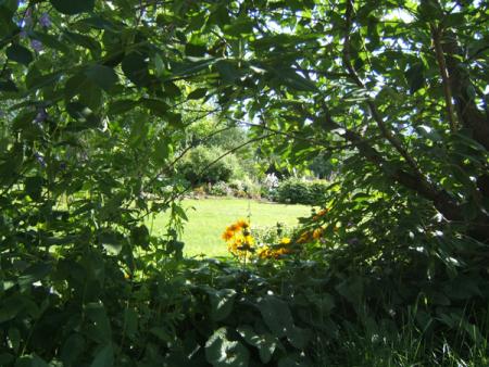 gallery_9203_1780_240470.jpg