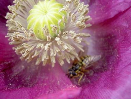 gallery_15230_2702_30611.jpg