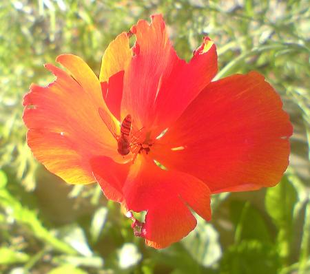 gallery_16561_2704_220123.jpg