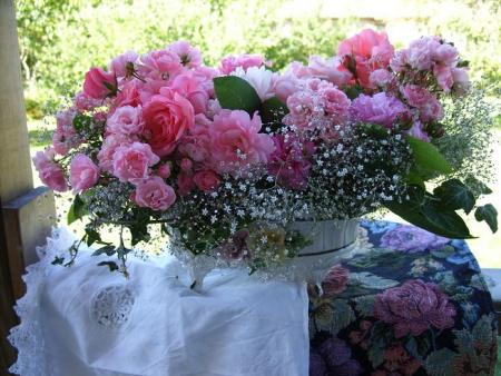 gallery_5307_2392_69166.jpg