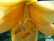 tn_gallery_5307_536_20048.jpg