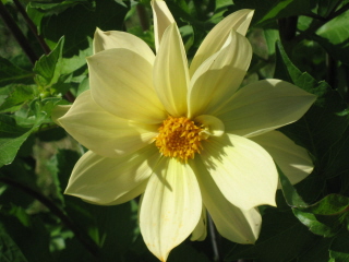 gallery_4383_2510_10706.jpg