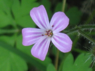 gallery_4383_2510_11963.jpg