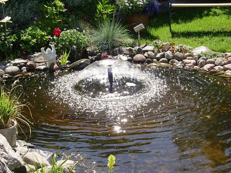 gallery_13447_1715_972.jpg
