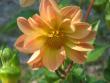 tn_gallery_4383_2510_11368.jpg