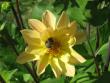 tn_gallery_4383_2510_26346.jpg