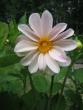 tn_gallery_4383_2510_43273.jpg